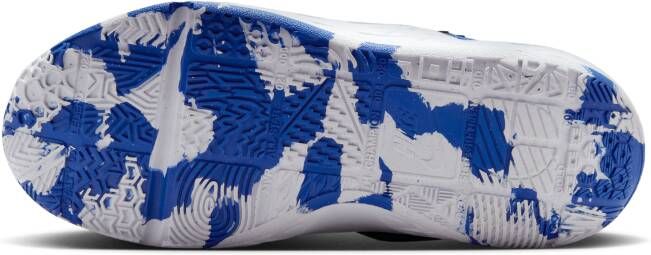 Nike Team Hustle D 12 basketbalschoenen voor kids Blauw