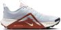Nike Wildhorse 10 trailrunningschoenen voor heren Grijs - Thumbnail 4
