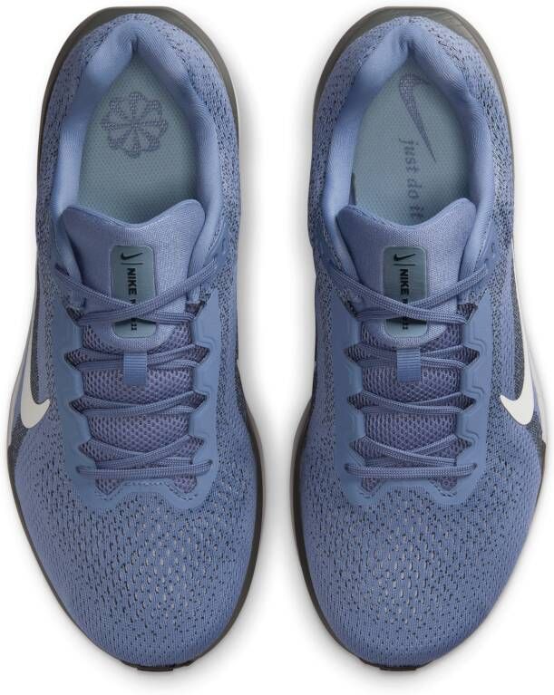 Nike Winflo 11 hardloopschoenen voor heren (extra breed straat) Blauw