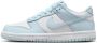 Nike Dunk Unisex Schoenen Wit Maat: 38.5 Leer Foot Locker - Thumbnail 1