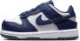 Nike Dunk Unisex Schoenen Wit Maat: 23.5 Leer Foot Locker - Thumbnail 1