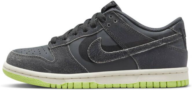 Nike Dunk Low SE Kinderschoenen Grijs