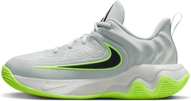 Nike Giannis Immortality 4 basketbalschoenen voor kids Grijs