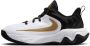 Nike Giannis Immortality 4 basketbalschoenen voor kids Zwart - Thumbnail 1