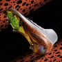 Nike Mercurial Superfly 10 Elite Electric high-top voetbalschoenen (stevige ondergrond) Meerkleurig - Thumbnail 1