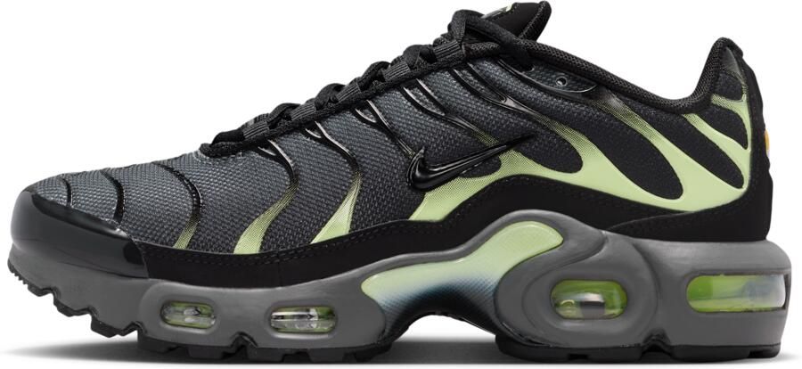 Nike Air Max Plus kinderschoenen Grijs