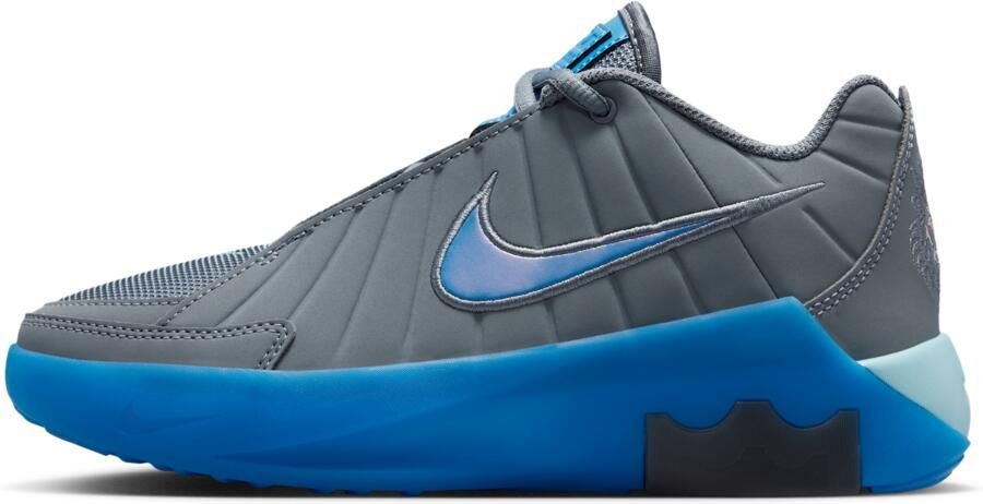 Nike LeBron Witness 9 basketbalschoenen voor kids Grijs