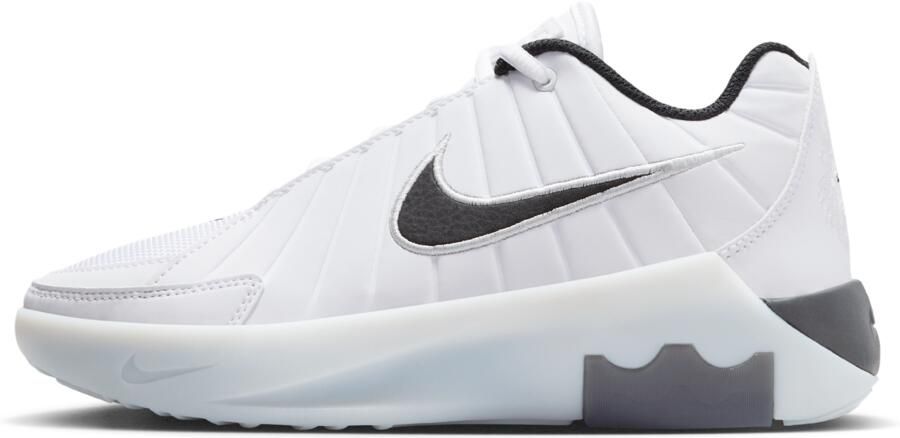 Nike LeBron Witness 9 basketbalschoenen voor kids Wit