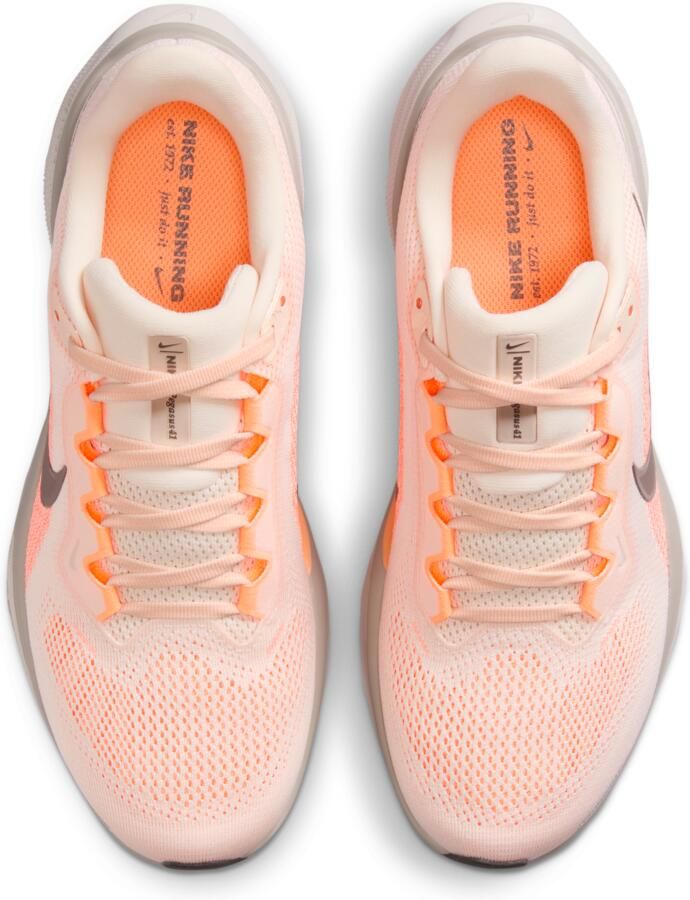 Nike Pegasus 41 hardloopschoenen voor dames (straat) Bruin