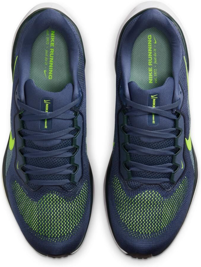 Nike Pegasus 41 hardloopschoenen voor heren (straat) Paars