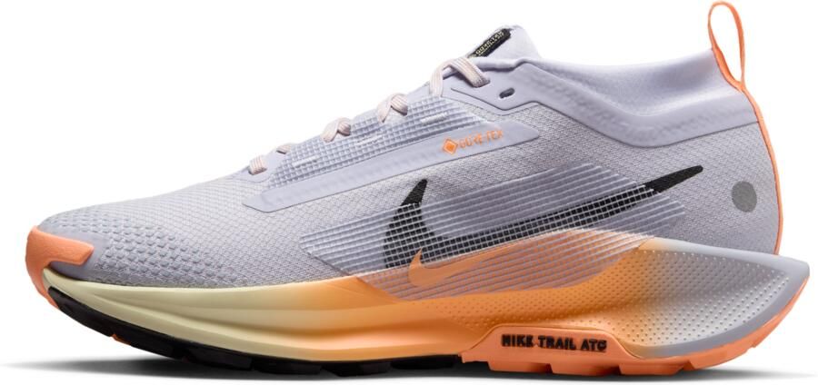 Nike Pegasus Trail 5 GORE-TEX waterdichte trailrunningschoenen voor dames Grijs