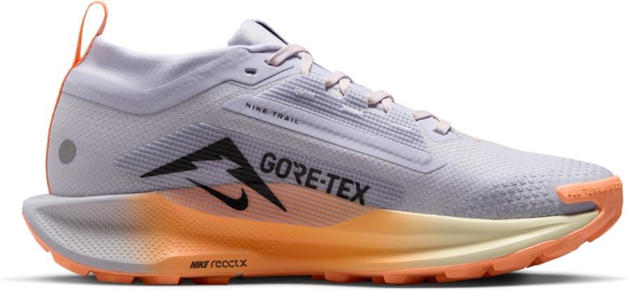 Nike Pegasus Trail 5 GORE-TEX waterdichte trailrunningschoenen voor dames Grijs - Foto 3