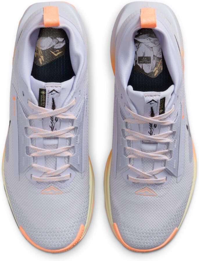 Nike Pegasus Trail 5 GORE-TEX waterdichte trailrunningschoenen voor dames Grijs - Foto 2