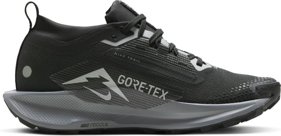 Nike Pegasus Trail 5 GORE-TEX waterdichte trailrunningschoenen voor dames Zwart