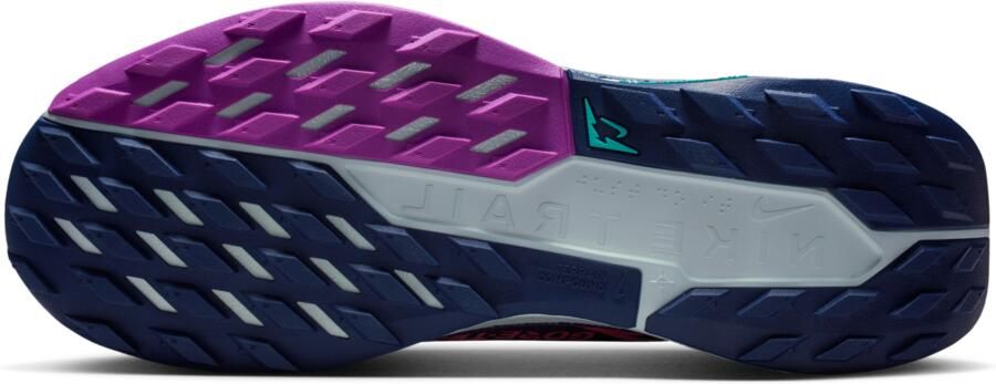 Nike Pegasus Trail 5 GORE-TEX waterdichte trailrunningschoenen voor heren Blauw - Foto 4