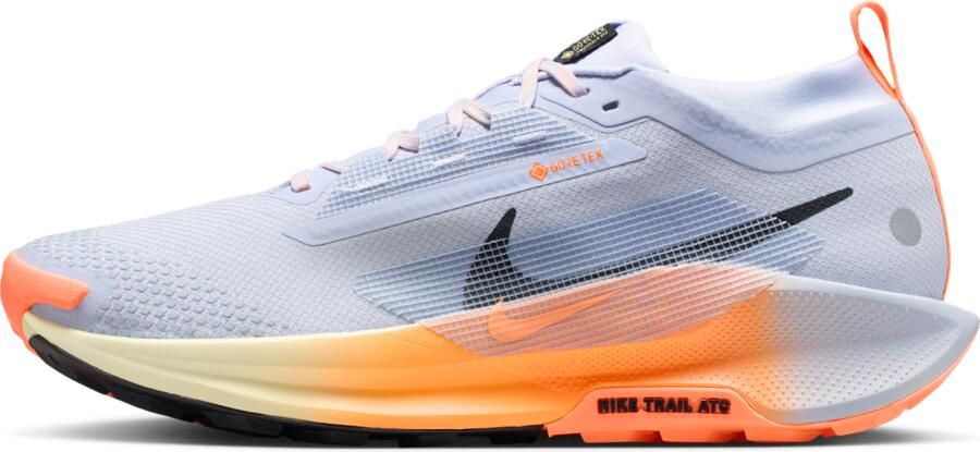 Nike Pegasus Trail 5 GORE-TEX waterdichte trailrunningschoenen voor heren Grijs