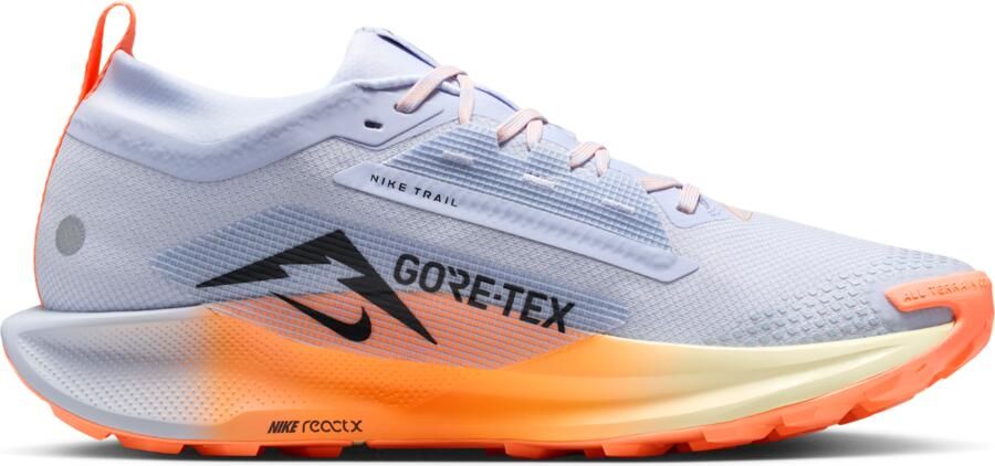 Nike Pegasus Trail 5 GORE-TEX waterdichte trailrunningschoenen voor heren Grijs - Foto 3