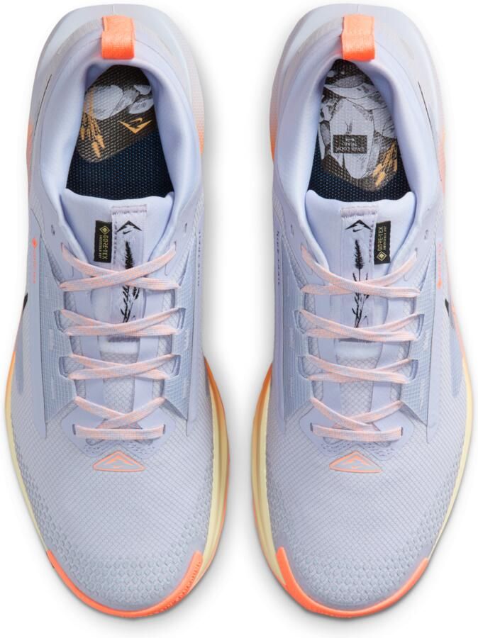 Nike Pegasus Trail 5 GORE-TEX waterdichte trailrunningschoenen voor heren Grijs