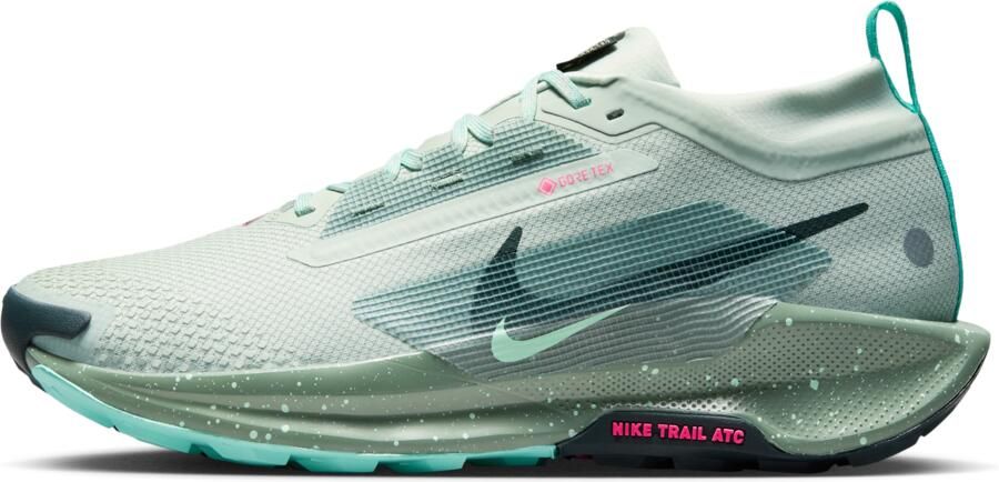 Nike Pegasus Trail 5 GORE-TEX waterdichte trailrunningschoenen voor heren Grijs