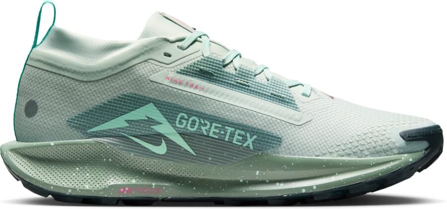 Nike Pegasus Trail 5 GORE-TEX waterdichte trailrunningschoenen voor heren Grijs - Foto 3