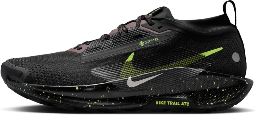 Nike Pegasus Trail 5 GORE-TEX waterdichte trailrunningschoenen voor heren Zwart