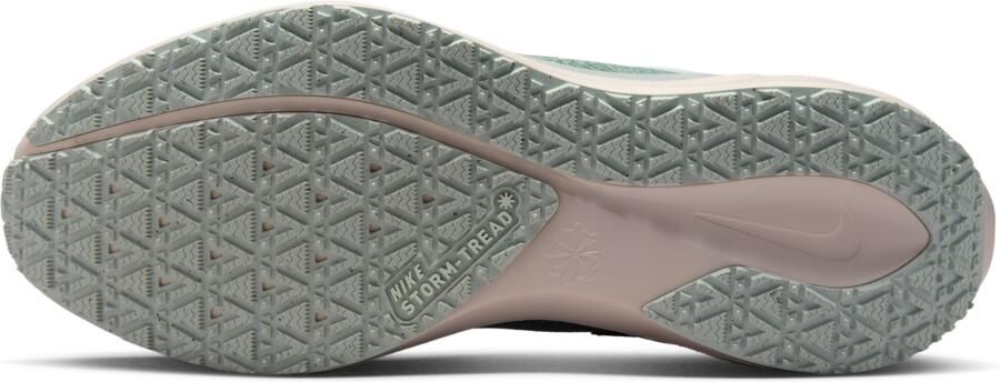 Nike Pegasus 41 GORE-TEX waterdichte hardloopschoenen voor heren (straat) Grijs - Foto 4