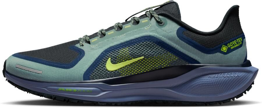 Nike Pegasus 41 GORE-TEX waterdichte hardloopschoenen voor heren (straat) Groen