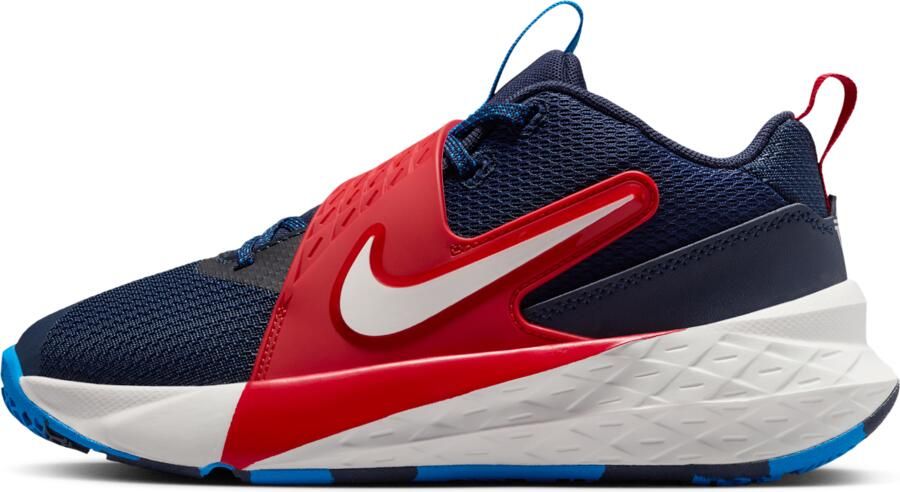 Nike Team Hustle D 12 basketbalschoenen voor kids Blauw