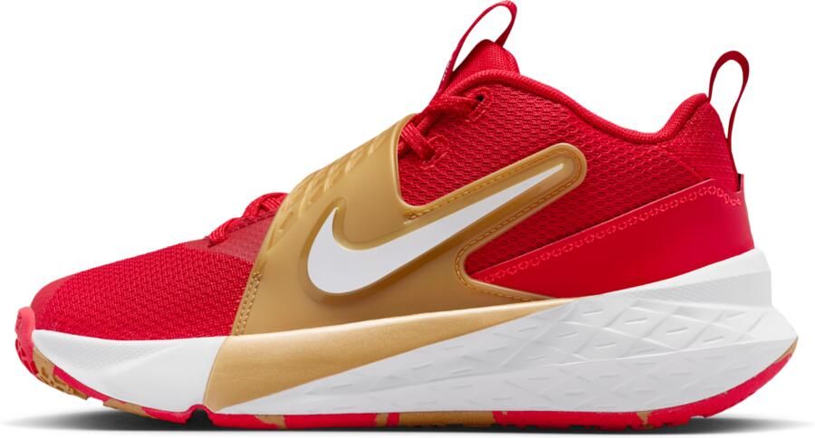 Nike Team Hustle D 12 basketbalschoenen voor kids Rood