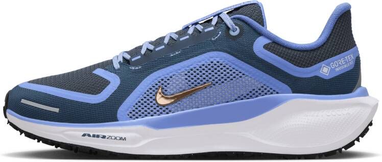 Nike Pegasus 41 GORE-TEX waterdichte hardloopschoenen voor dames (straat) Blauw - Foto 1