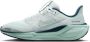 Nike Pegasus 41 hardloopschoenen voor kids (straat) Blauw - Thumbnail 1