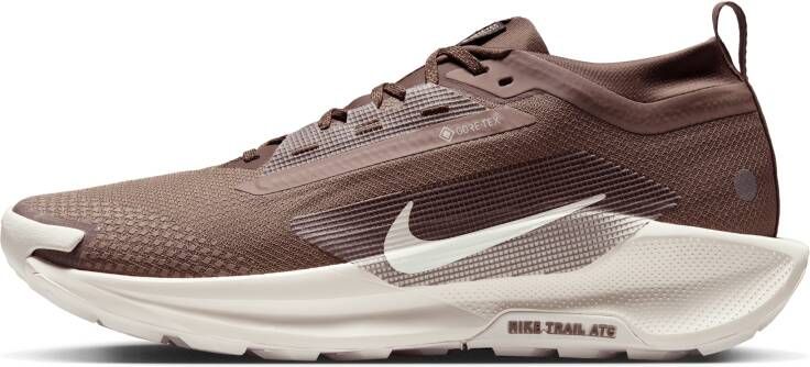 Nike Pegasus Trail 5 GORE-TEX SP waterdichte trailrunningschoenen voor heren Bruin