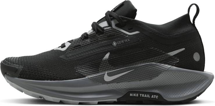 Nike Pegasus Trail 5 GORE-TEX waterdichte trailrunningschoenen voor dames Zwart