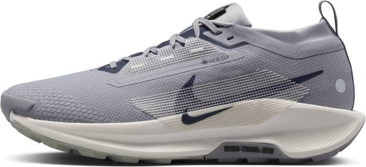 Nike Pegasus Trail 5 GORE-TEX waterdichte trailrunningschoenen voor heren Grijs