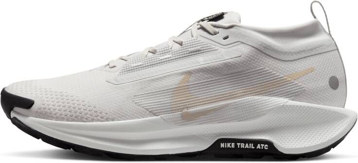 Nike Pegasus Trail 5 GORE-TEX waterdichte trailrunningschoenen voor heren Grijs