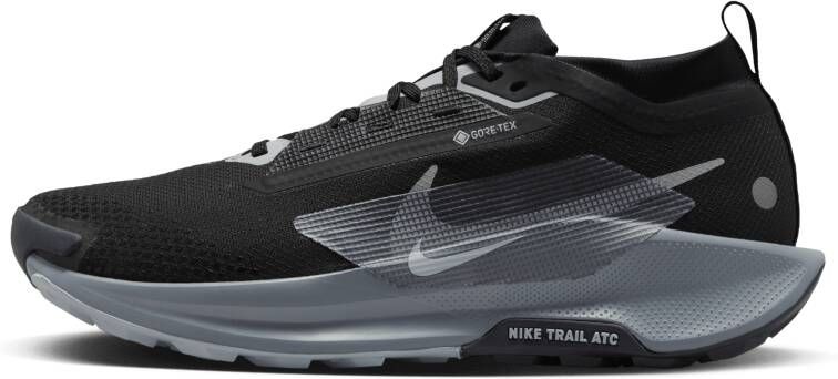 Nike Pegasus Trail 5 GORE-TEX waterdichte trailrunningschoenen voor heren Zwart