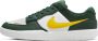 Nike SB Force 58 Premium Skateschoenen groen - Thumbnail 1