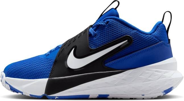 Nike Team Hustle D 12 basketbalschoenen voor kids Blauw