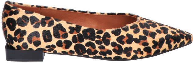 Angel Alarcon 24500-530B Baby Jaguar