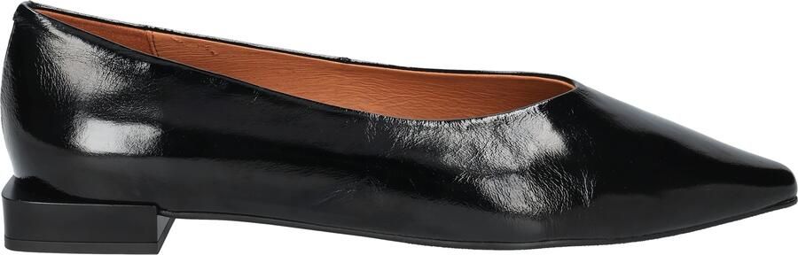 Angel Alarcon 26504 Vernice Negro