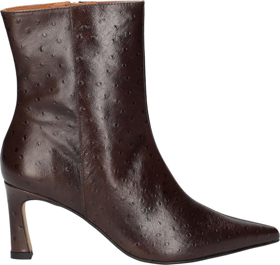Angel Alarcon 26603 Brown