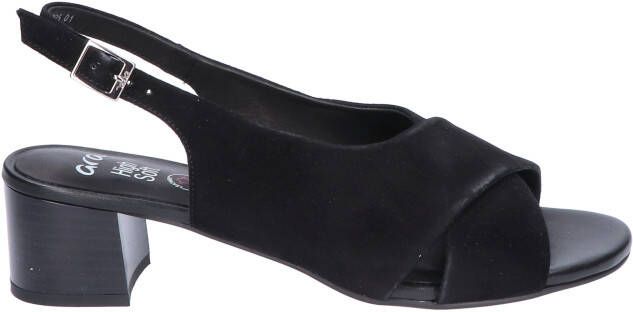 Ara 12-25605-01 Black H-Wijdte
