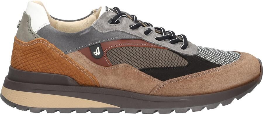 Australian Sparrow Taupe Grey Tan