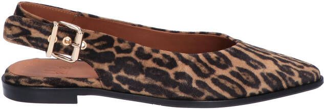 Billi Bi A8301 Leopard