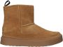 Blackstone APUT NUKA CL239 Dijon Sneaker (mid) Dames Brown - Thumbnail 3