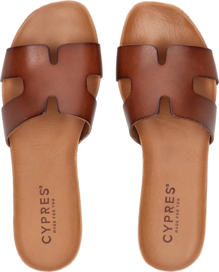 Cypres Rosy Brown