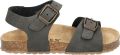 Cypres Sunset Dark Grey - Grijs