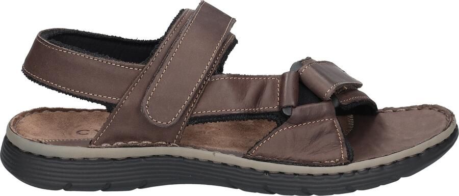 Cypres Ward 2611061 Ic. TdM