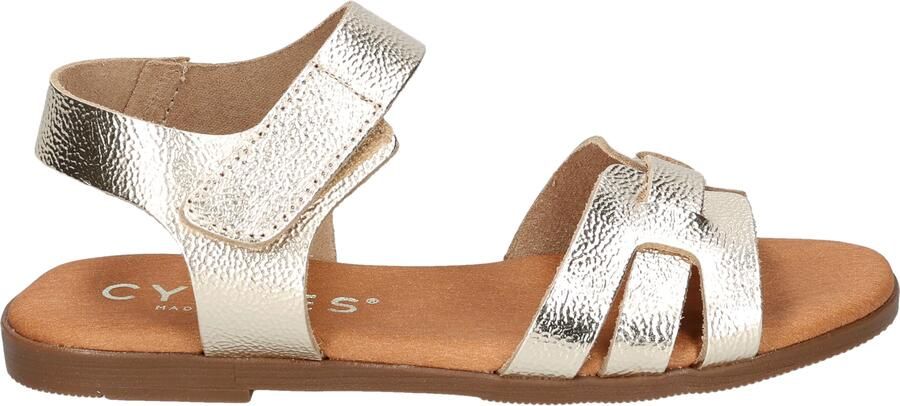 Cypres Zenny Champagne