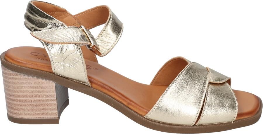 Cypres Zoemi 2616147 MTLC Gold